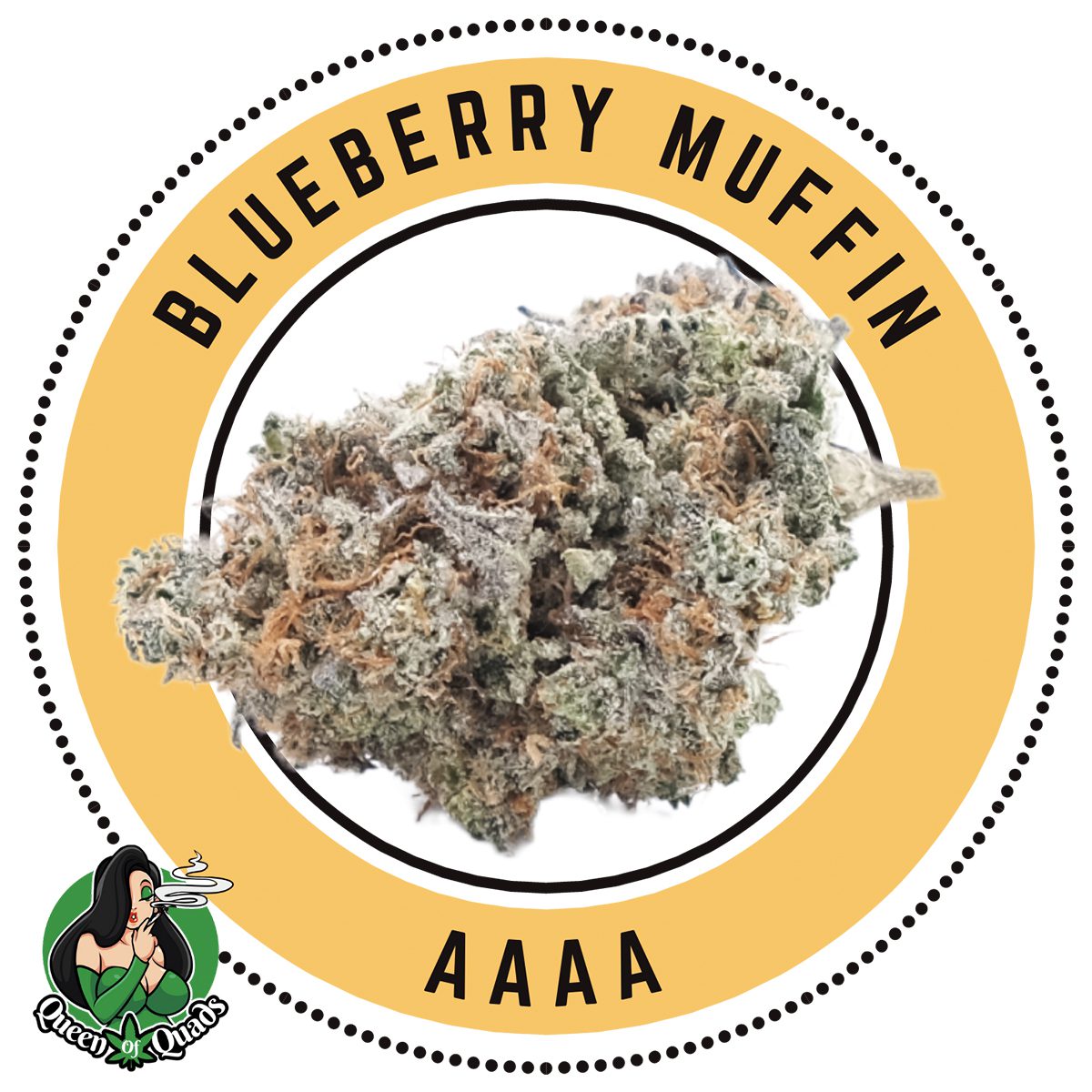 Blueberry Muffin Indica Dominant Hybrid By Queen of Quads 1