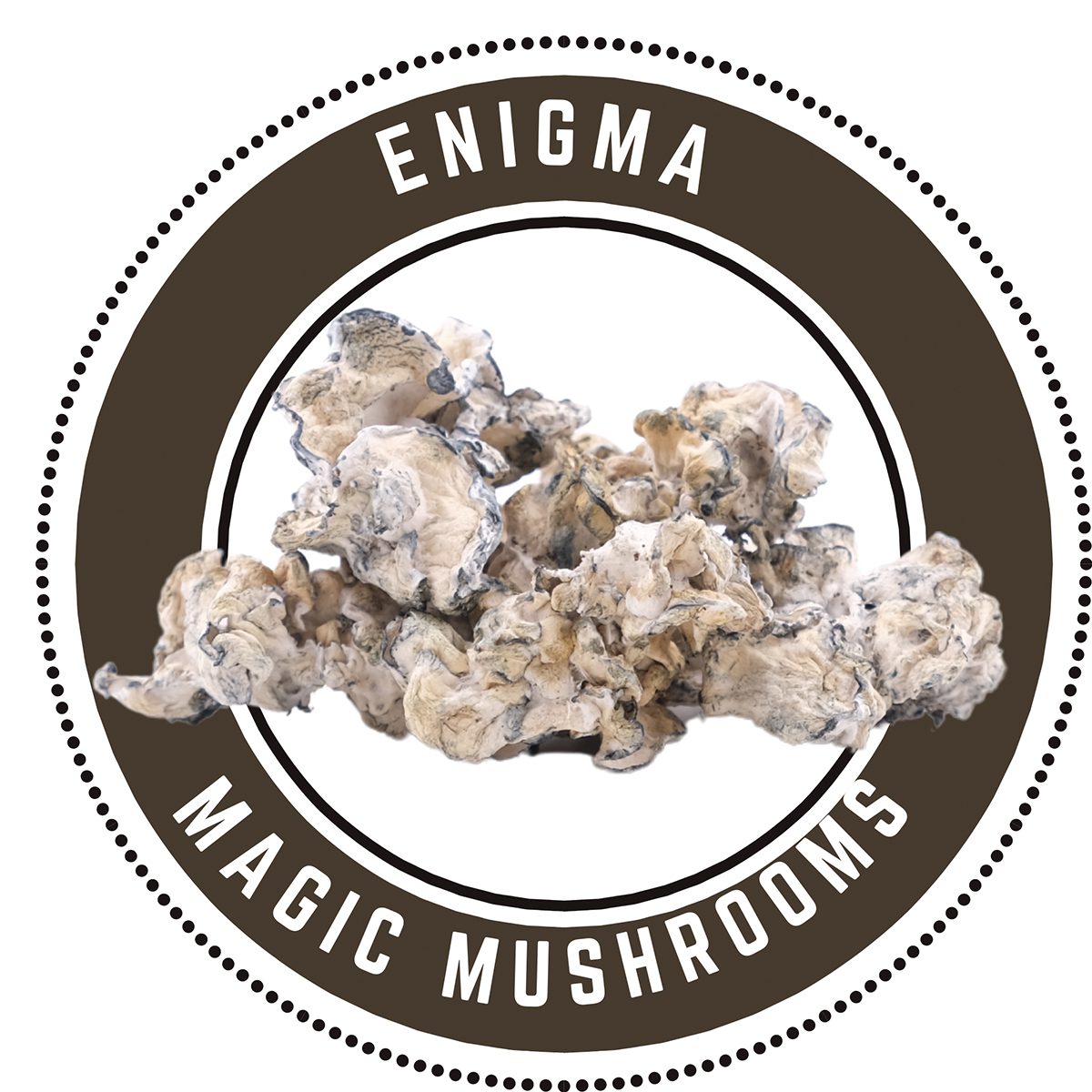 Enigma Magic Mushroom