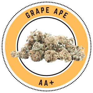 Grape Ape Indica Hybrid Dominant