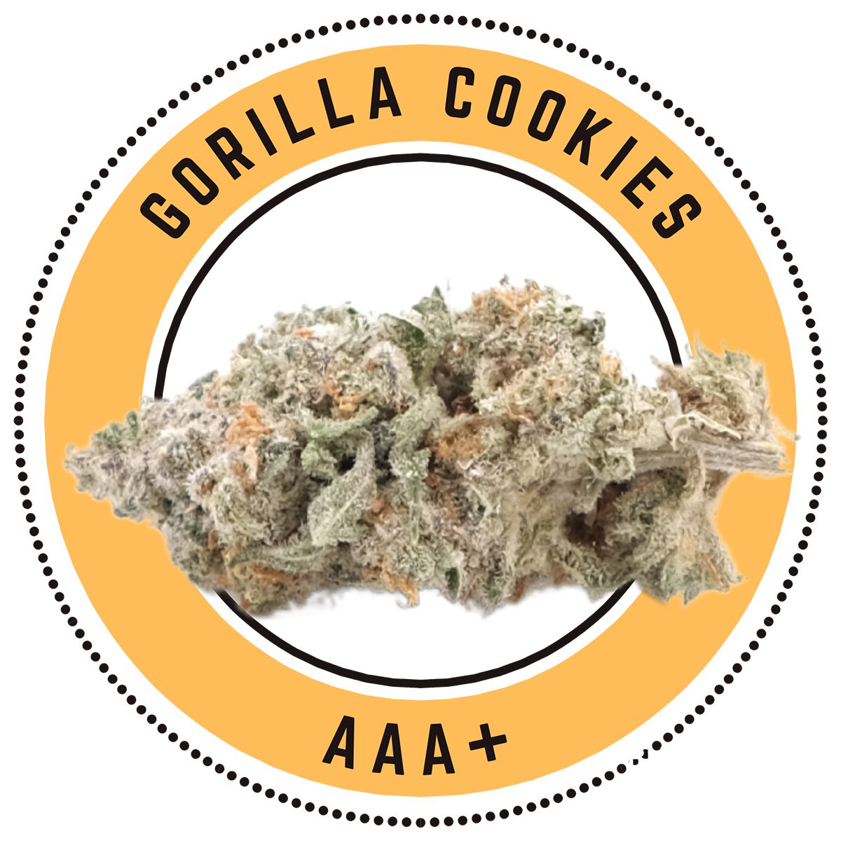 Gorilla Cookies AAA+ 2