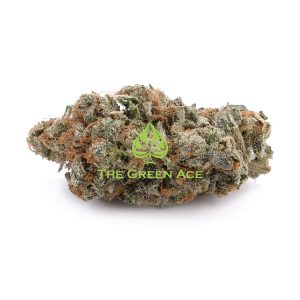 Orange Apricot Indica Dominant Hybrid 3 copy