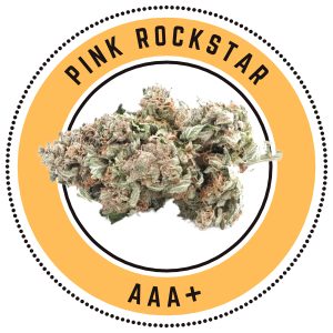 Pink Rockstar Indica Dominant Hybrid
