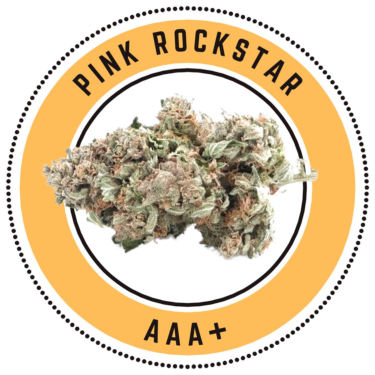 Pink Rockstar Indica Dominant Hybrid