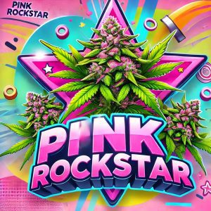 Pink Rockstar