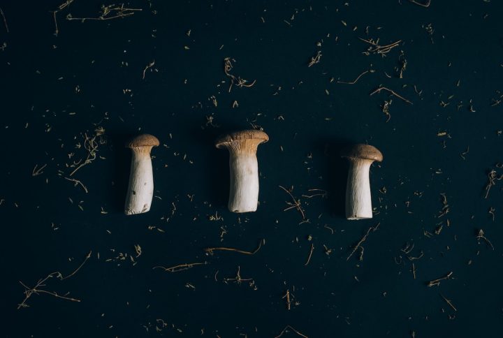 Magic Mushrooms at Your Fingertips: The Online Buying Experience