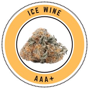 Ice Wine Balanced Hybrid