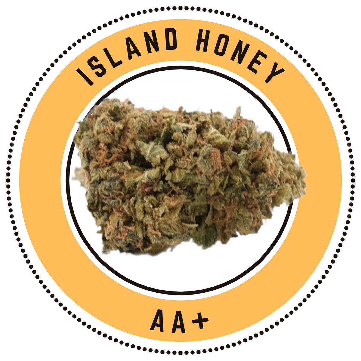 Island Honey Sativa Dominant Hybrid