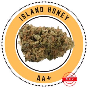 Island Honey Sativa Dominant Hybrid 1