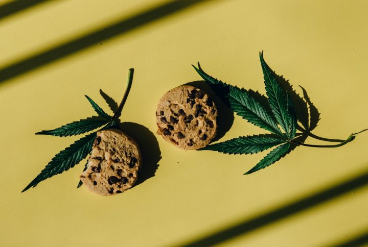 From Brownies to Gummies: The Evolution of Weed Edibles