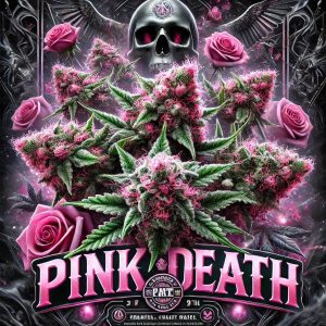 pink death cannabis