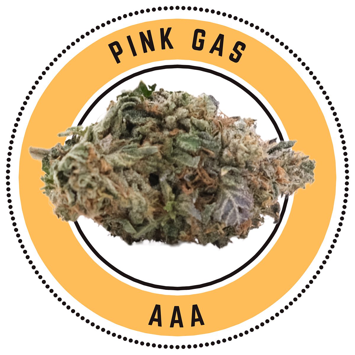 Pink Gas Indica Dominant Hybrid 1
