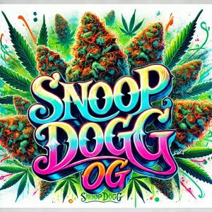 snoop dogg og artwork