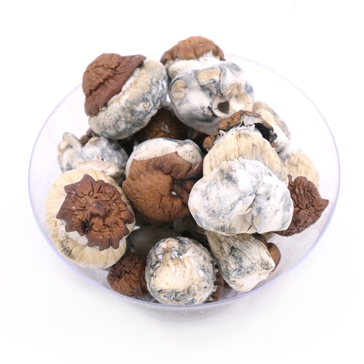 Buy Blue Pulaski Magic Mushrooms Online in Canada | Magic mushroom store USA