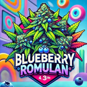 Blueberry Rom
