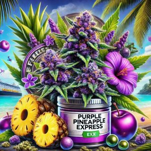 Purple Pineapple Express Cannabis