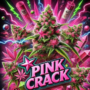 Pink Crack