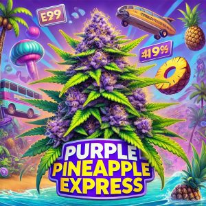 Purple Pineapple Express