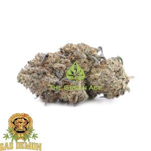 Truffle Butter – Indica Dominant Hybrid – Gas Demon – AAAA 2