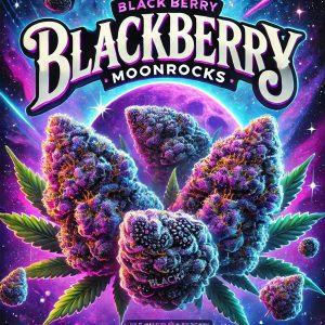 blackberry moonrocks artwork