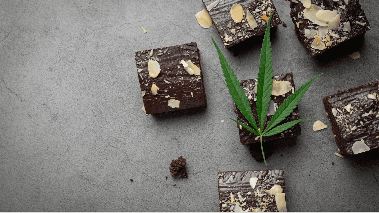 Exploring the Sweet Side: A Guide to Weed Chocolate