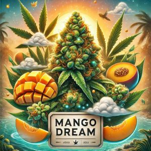 mango dream