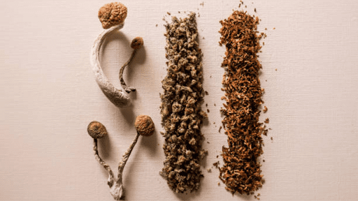 Cannabis And Magic Mushrooms
