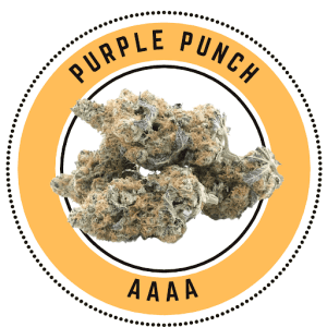 Purple Punch