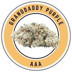 Granddaddy Purple – Indica Dominant Hybrid