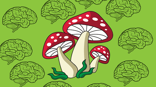 Mental Health Benefits of Psilocybin Mushrooms