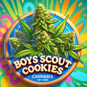 Boys Scout Cookies