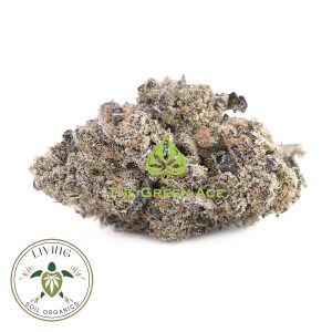 Gas Truffle – Indica Dominant – AAAA+ – Living Soil Organics 1