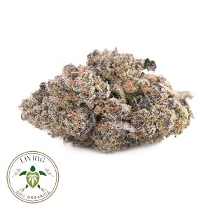 Gas Truffle – Indica Dominant – AAAA+ – Living Soil Organics 22