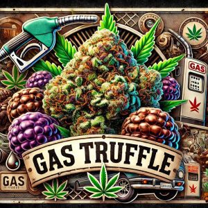 Gas truffle cannabis