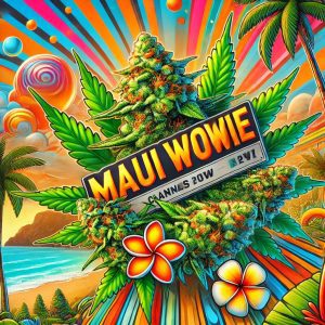Maui Wowie - Sativa Dominant - AAAA - Queen Of Quads