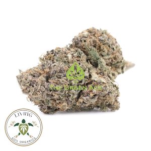 Melted Strawberry – Hybrid – AAAA+ – Living Soil Organics