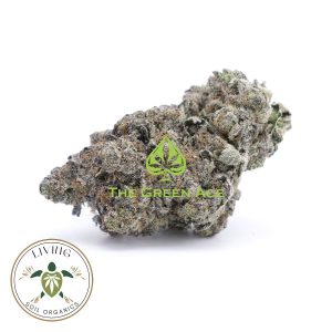 Purple Space Cookies – Indica Hybrid – AAAA+ – Living Soil Organics 1