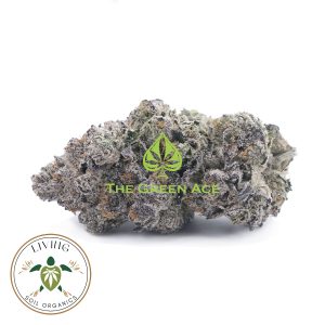 Purple pace Cookies Indica Hybrid AAAA+ Living Soil Organics