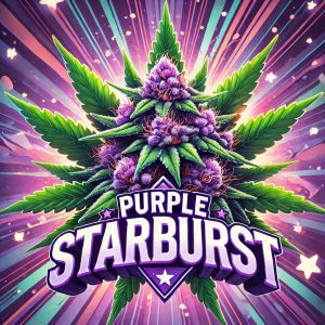 Purple Starburst - Hybrid- Phantom Quads - AAAA