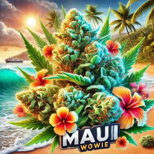 maui wowie realistic artwork