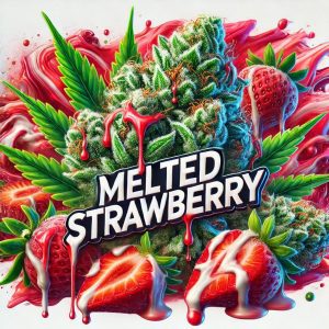 melted strawberry artwork