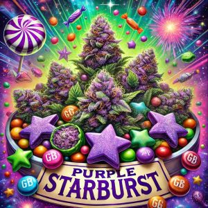 purple starburst cannabis