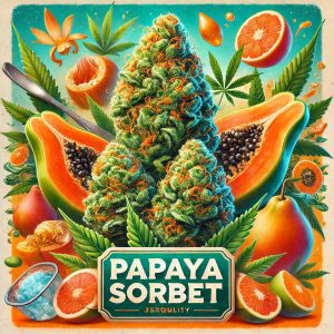 Papaya Sorbet