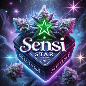 Sensi Star Cannabis Artwork