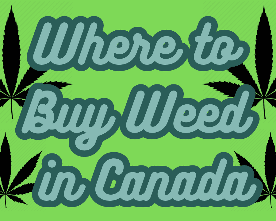 The Ultimate Tourist Guide to Weed in Canada