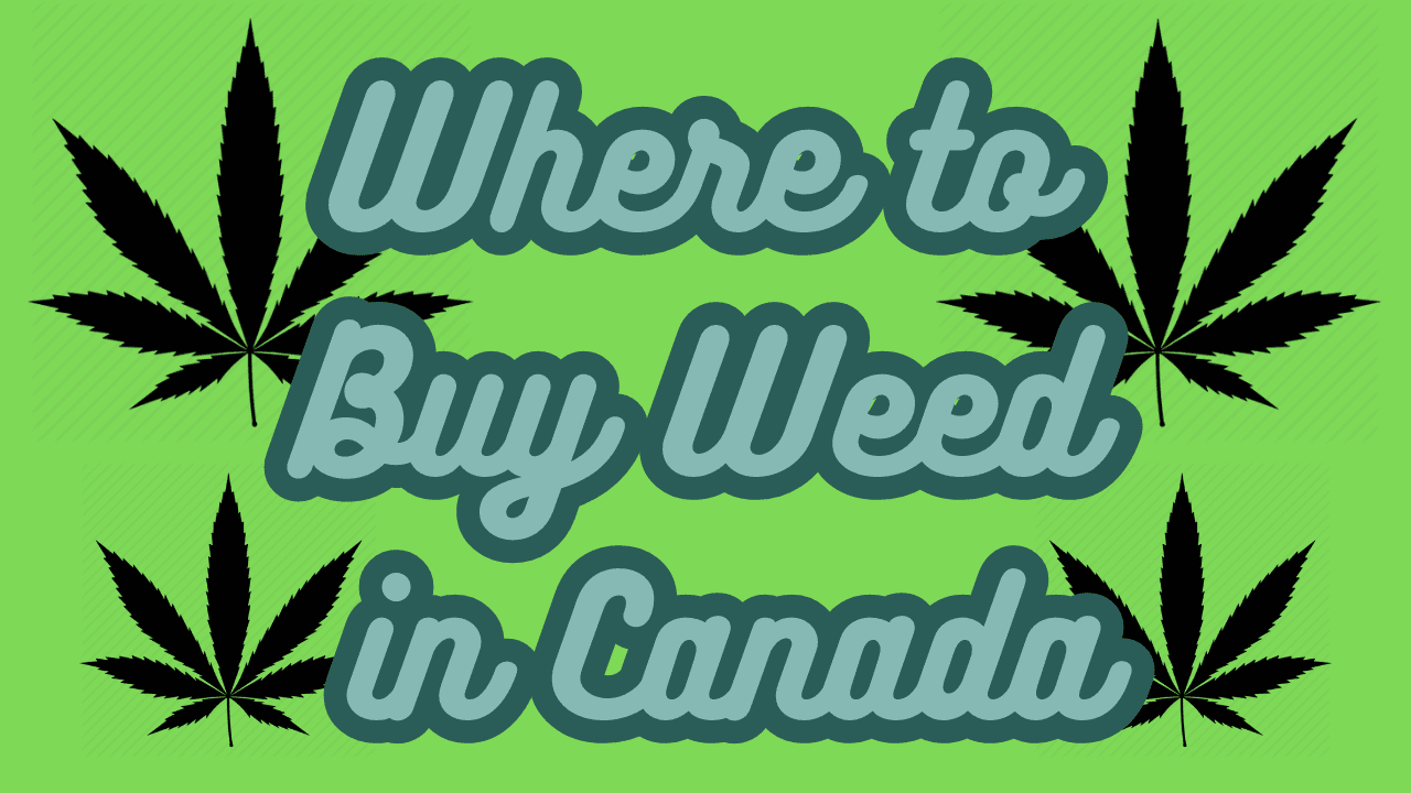 The Ultimate Tourist Guide to Weed in Canada