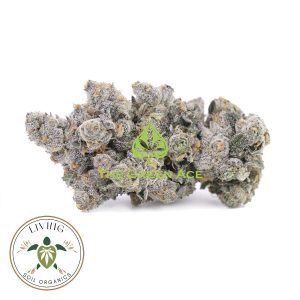 Cream Soda – Hybrid – AAAA+ – Living Soil Organics 2