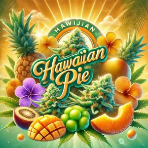 Hawaiian Pie Cannabis Artwork