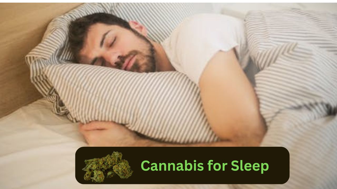 Cannabis for Sleep: What To Know and Where to Buy in Georgetown