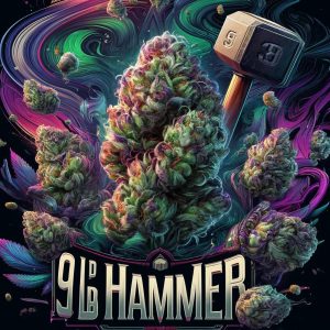 9lb hammer artwork