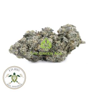 Bubble Bath x Ice Cream – Hybrid – AAAA+ – Living Soil Organics